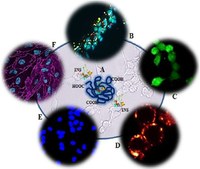 Bioengineering as therapeutic strategy for Alzheimer’s disease 