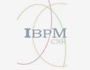 ibpm